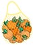 Vector of flat doodle illustration design of Mesh Shopping bag of 1 kilogram organic orange fruit the result from natural. Round