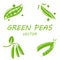 Vector flat green peas icons set