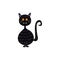 Vector flat halloween witch black cat