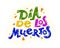 Vector flat hand drawn illustration with flat Dia de los muertos lettering isolated on white background.