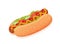 Vector flat illustration of American delicious hot dog for poster, advertisement, menu, restaurant. Hot dog with lettuce