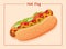 Vector flat illustration of American delicious hot dog for poster, advertisement, menu, restaurant. Hot dog with lettuce