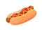 Vector flat illustration of American delicious hot dog for poster, advertisement, menu, restaurant. Hot dog with tomato