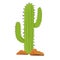 Vector flat illustration of a cactus with stones. Cactus for the background. Green plant with thorns in the desert. Flat style