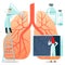 Vector flat illustrations, large human lungs on a white background