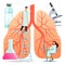 Vector flat illustrations, large human lungs on a white background