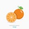 Vector flat isolated icon of food supplements - orange fruit