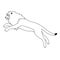 Vector flat jumping lion