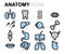 Vector flat line anatomy icons set
