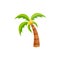 Vector flat palm tree with coconut icon isolated