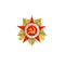 Vector flat patrioric war ussr star medal