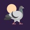 Vector flat pigeon walking at night under the moon