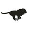 Vector flat running lion silhouette