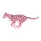 Vector flat running pink leopard