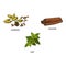 Vector flat sketch spices, condiments herbs set