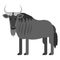 Vector flat style illustration of black wildebeest
