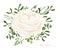 Vector floral bouquet design: garden white creamy Ranunculus Rose flower Eucalyptus branch, green fern mistletoe leaves & berry.