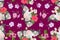 Vector floral bright seamless pattern for fabric design. Bouquet flowers, hibiscus, petunia