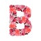 Vector floral capital letter, character B. Botanical monogram.