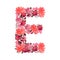 Vector floral capital letter, character E. Botanical monogram.