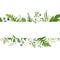 Vector floral greenery card design: Forest fern frond Eucalyptus