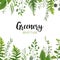 Vector floral greenery card design: Forest fern frond, Eucalyptus branch green leaves foliage herb greenery berry frame border. W