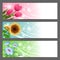 Vector floral illustration background. Horizontal