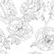 Vector floral seamless pattern. Black and white background with outline hand drawn rose flowers.