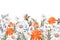 Vector floral seamless pattern, border. Horizontal panoramic design with white and orange meadow flowers on a white.