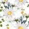 Vector floral seamless pattern with summer herbs, fern and chamomile camomile flowers.