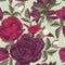 Vector floral seamless pattern with violet roses, purple tulips and apple blossom