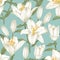 Vector floral seamless pattern with white lilies.