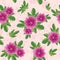 vector floral texture with malva flowers