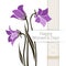 Vector flower greeting banner with harebells and ribbon. International Women`s Day. Flat style.