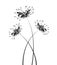 Vector Flower higanbana