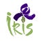 Vector flower logo. Floral background. Calligraphy ink. Stylized calligraphic ink iris.