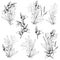 Vector flower sets. Black and white contour flowers drawn with ink on a white background. Bouquets. Sketch for tattoos, coloring.