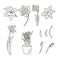 Vector flowers set in doodle style. Daffodils flower, petals, leaves, bud
