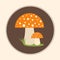 Vector Fly-Agaric Mushrooms Flat Design Illustration EPS 10 Logo