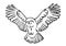 Vector flying owl outline silhouette