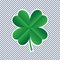 Vector four leaf clover on transparent background