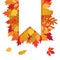 Vector frame with colored autumn leaves