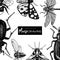 Vector frame with high detailed butterflies, beetles, cicada, bumblebee illustrations. Hand drawn insects design. Vintage entomolo