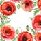 Vector frame with red watercolor poppy flowers.