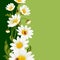 Vector frame with white daisies and ladybugs