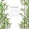 Vector framewith hand drawn bamboo branches on white background