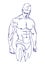 Vector free hand drawing illustration of a muscled man