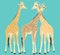 Vector free hand drawing with three adult giraffes. African animals on blue background. Realistic drawing, animalism