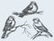 Vector freehand drawing. Tits, sparrows and bullfinches on branches