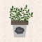 Vector - Fresh thyme herb in a flowerpot. Aromatic leaves